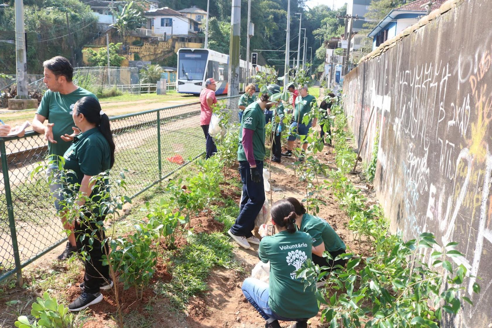 Mutirão transforma área próxima ao VLT com 250 mudas nativas em Santos (SP)