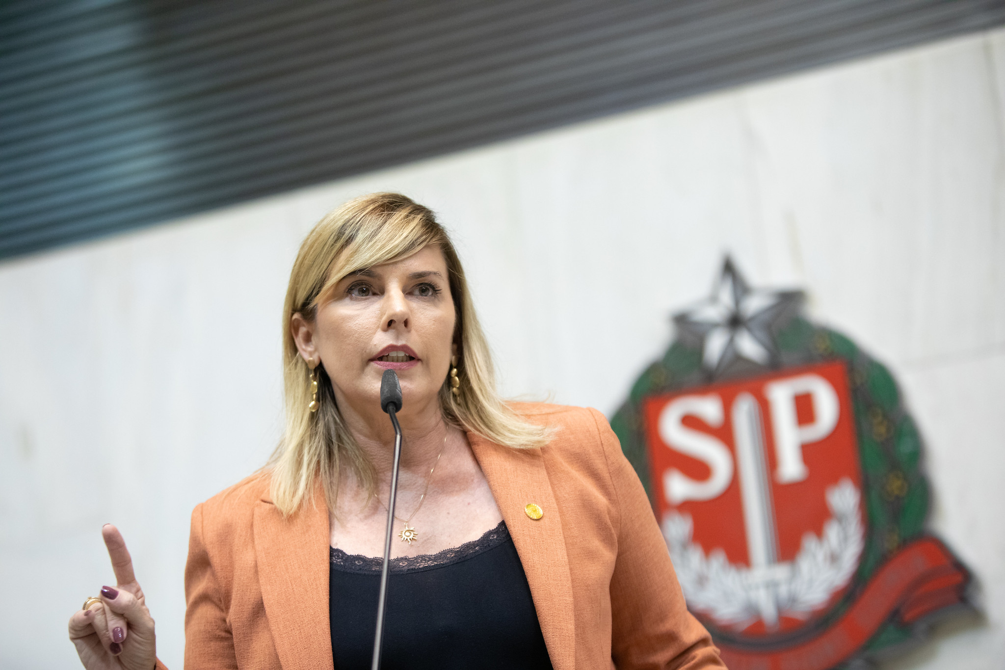 Solange Freitas critica desunião na bancada da Baixada Santista na Alesp