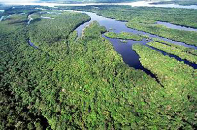 Amazônia tem menor área sob alerta de desmatamento da série histórica