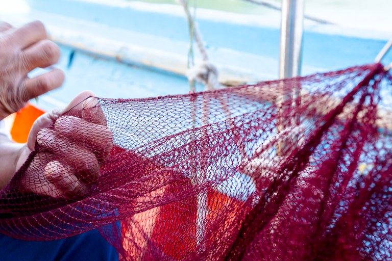 Pescadores artesanais vão parar quatro portos brasileiros
