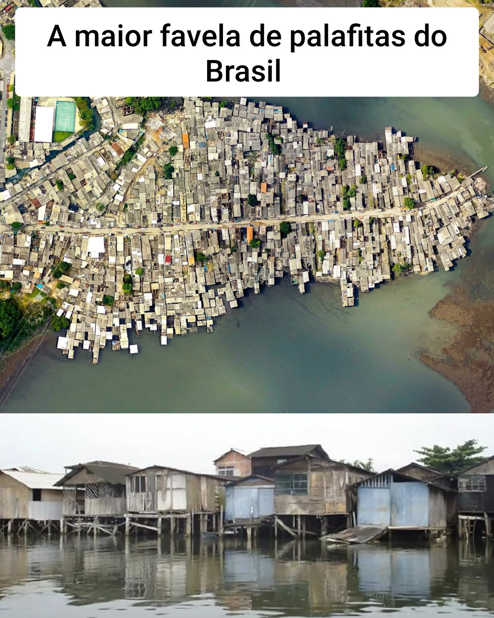 Cidade que abriga a maior favela de palafitas do Brasil não possui brigada comunitária de incêndio