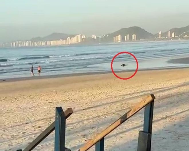 Cabo do Exército vira réu por homicídio após matar homem desarmado no Guarujá